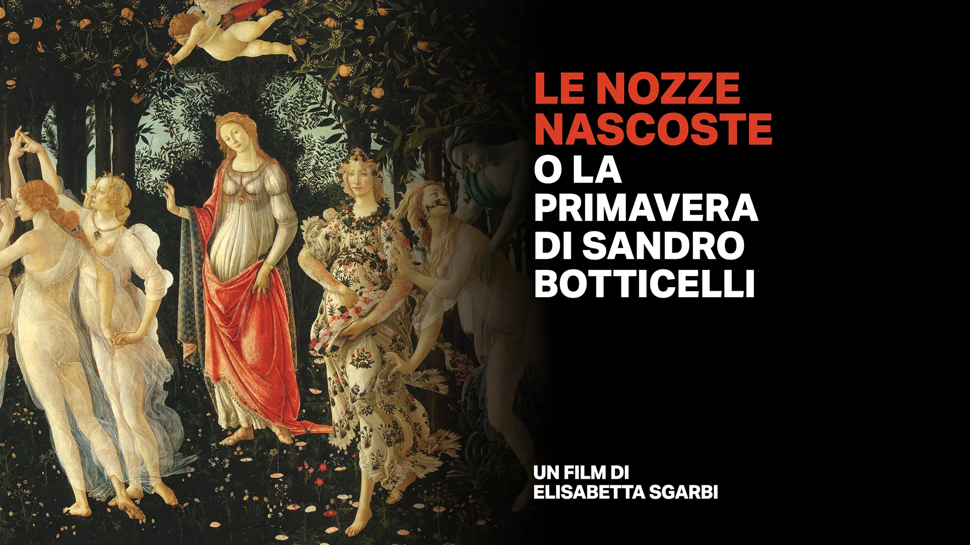 Le nozze nascoste - poster