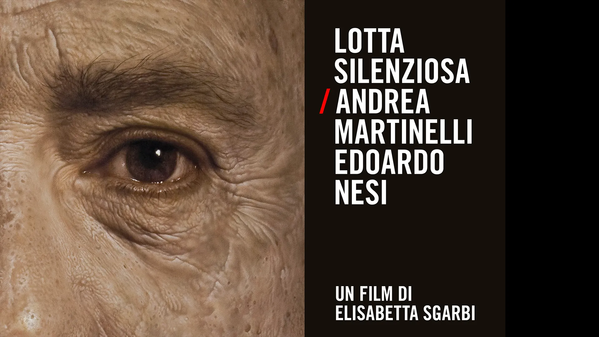 Lotta silenziosa - poster