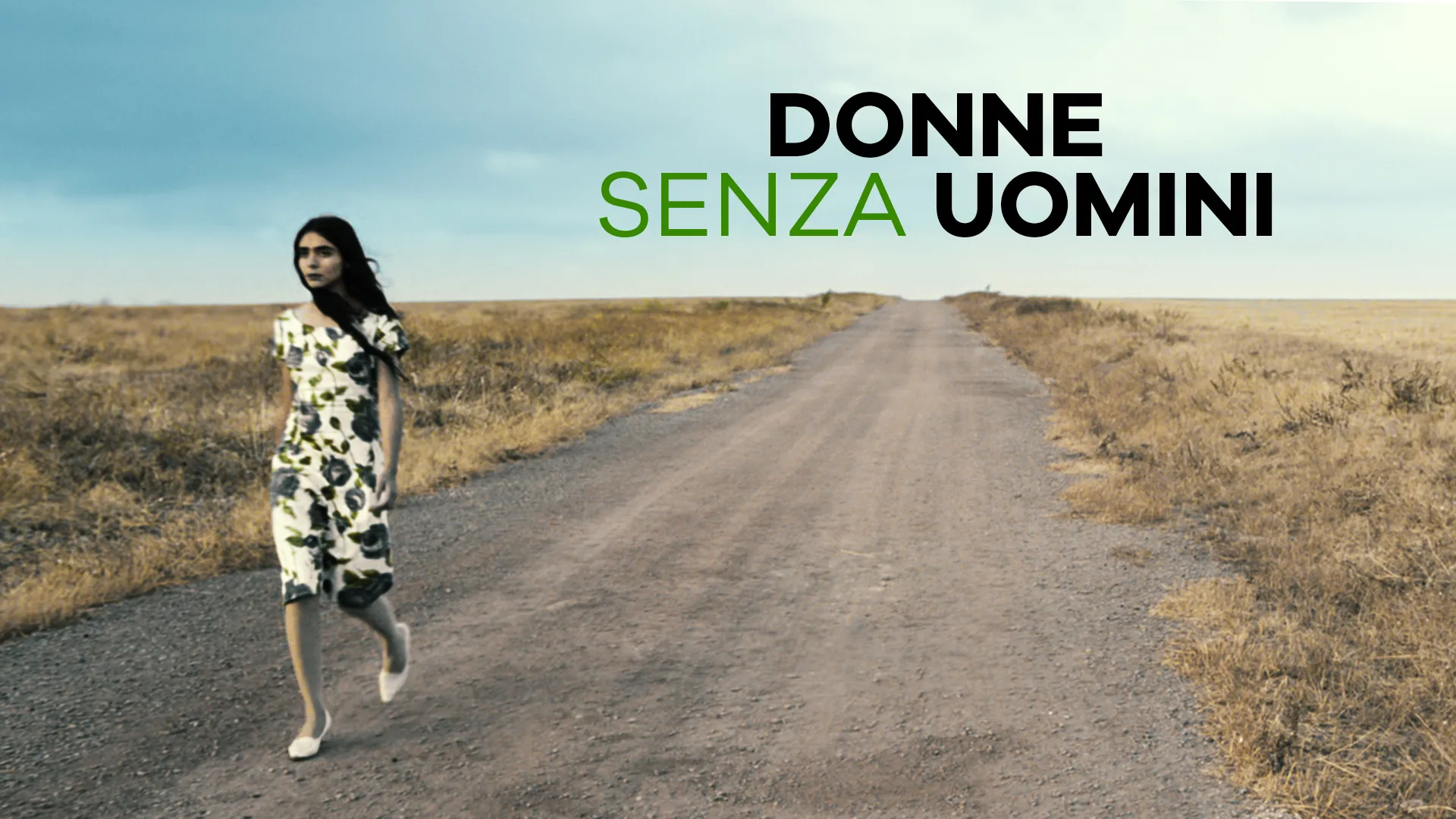 Donne senza uomini - poster