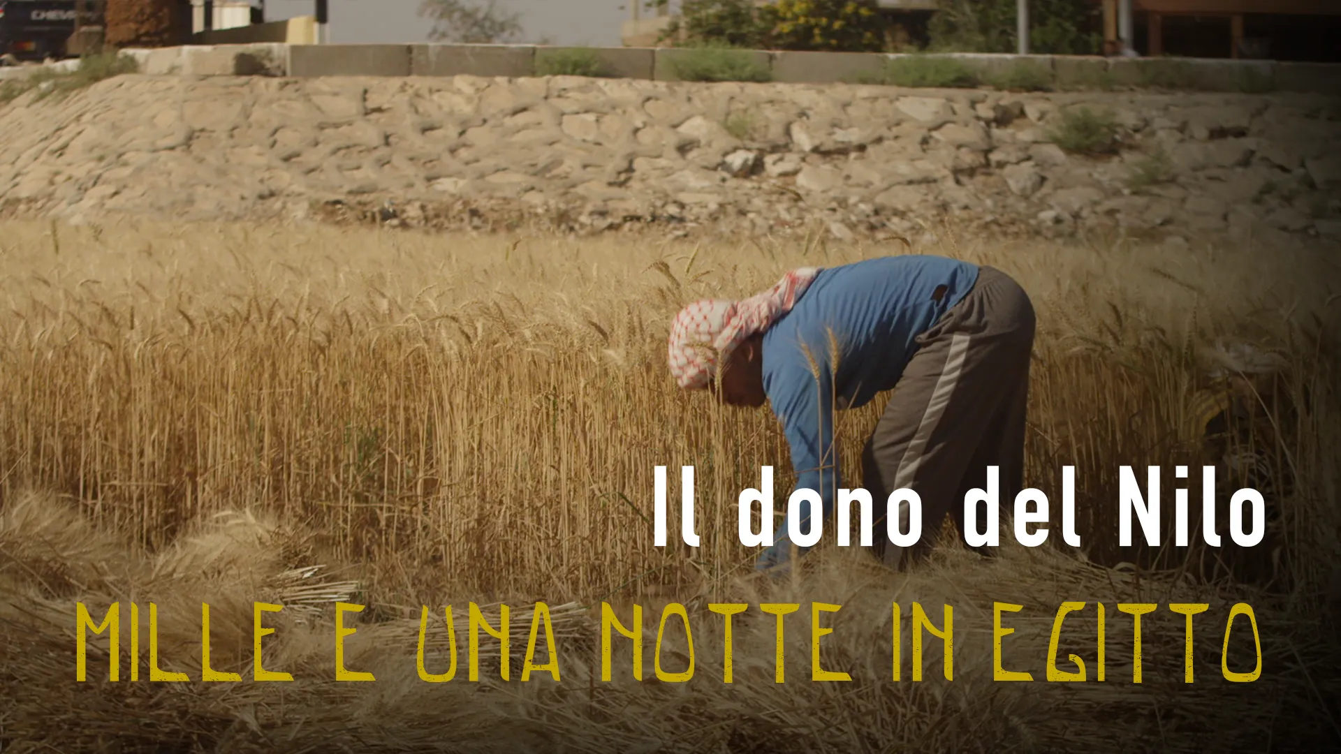 Mille e una notte in Egitto - Il dono del Nilo - poster