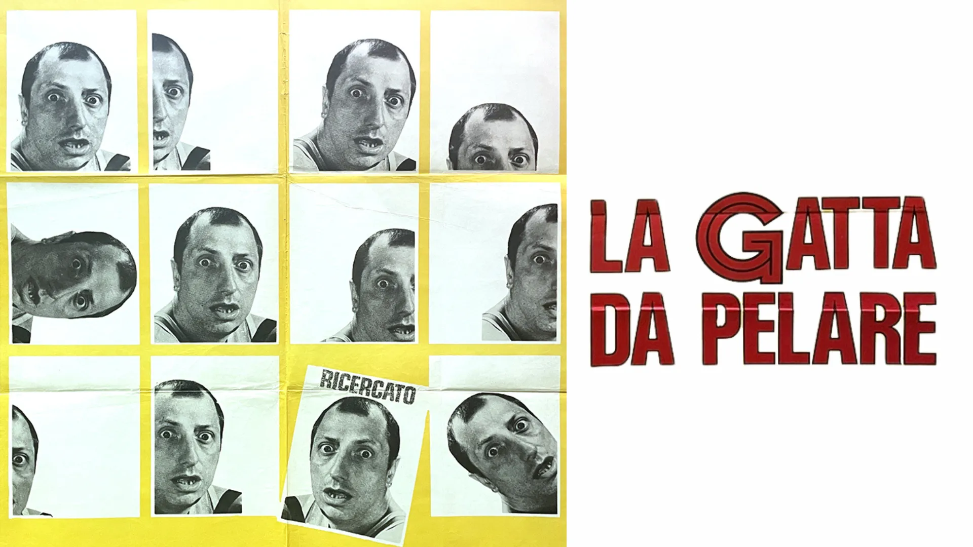 La gatta da pelare - poster