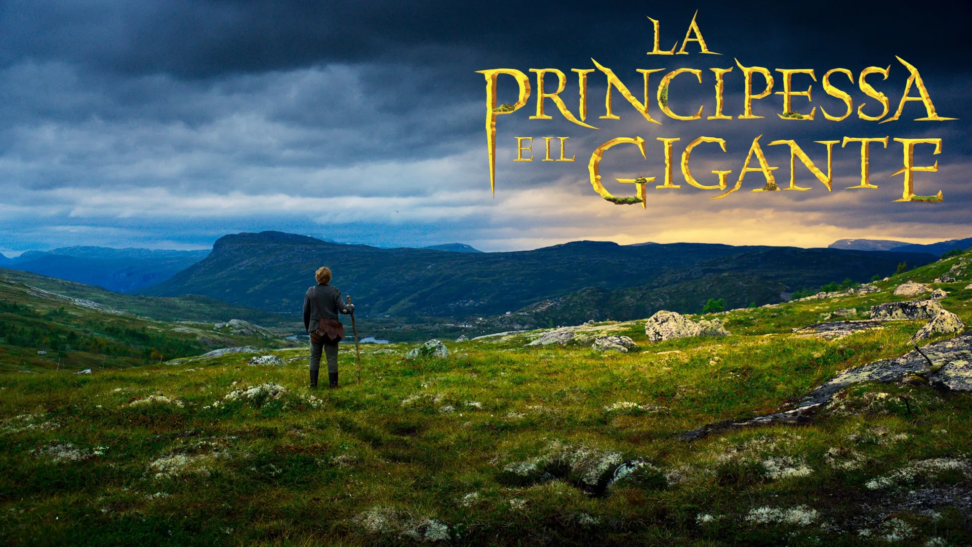 La principessa e il gigante - poster