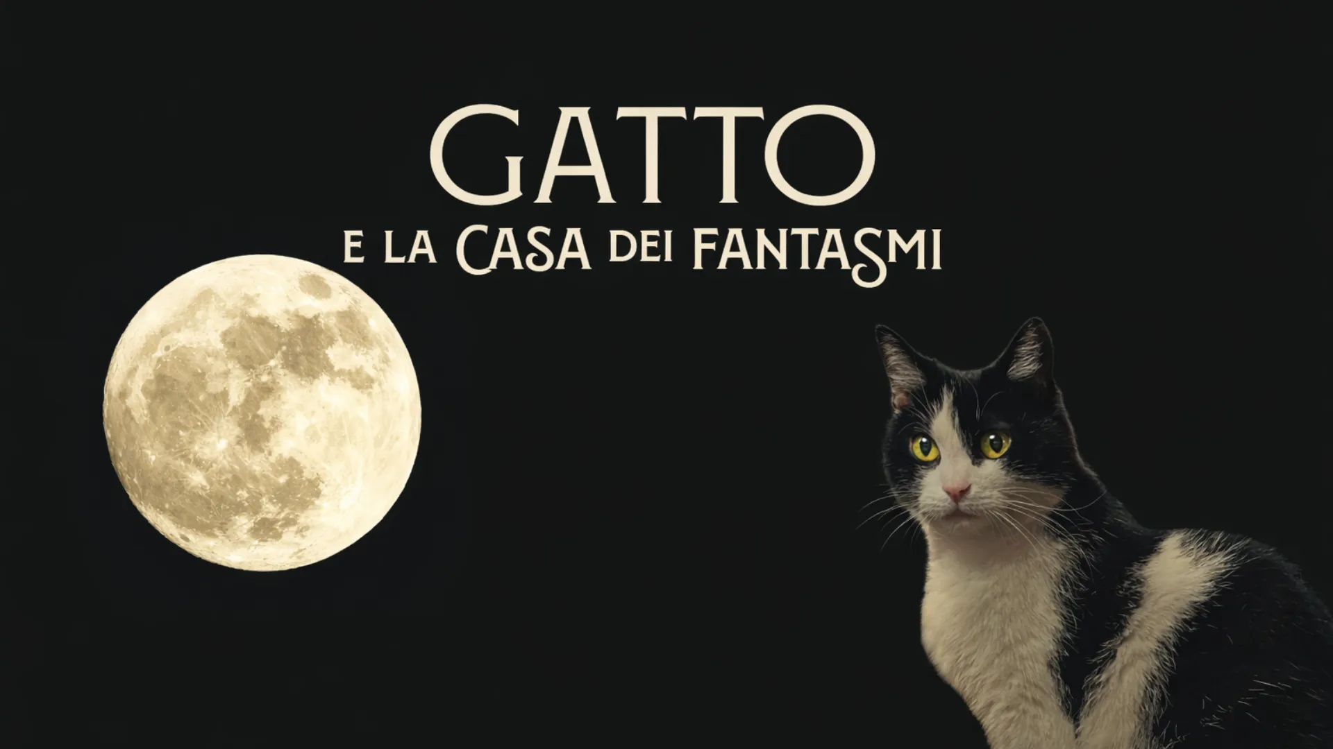 Gatto e la casa dei fantasmi - poster
